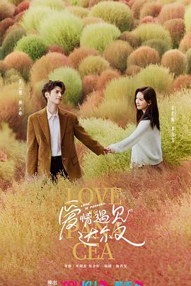 宝应县网站优化公司电话